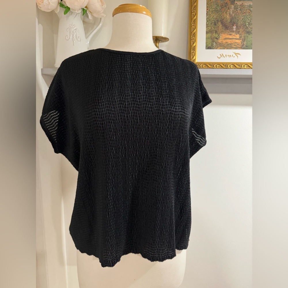 Beautiful Lightweight Black Blouse by Tanjay Petite- Size Large